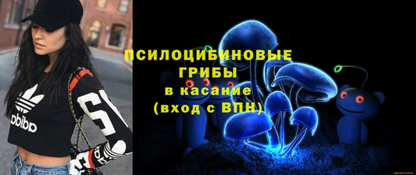 метадон Осташков