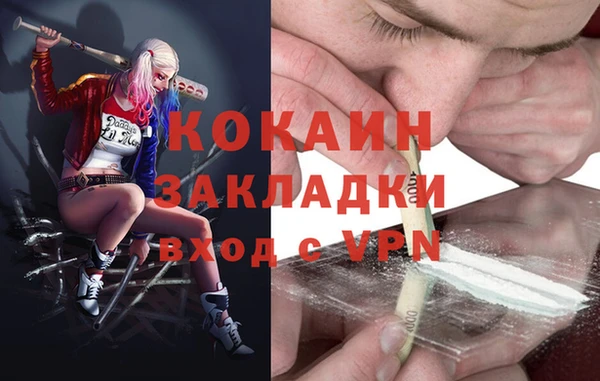 бошки Осинники